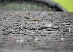 Loại mưa axit mới đang gây lo ngại cho giới khoa học