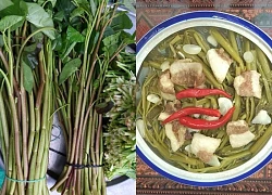 Loại rau muống quý trời ban chỉ trời mưa mới có và cách chế biến ngon đặc sản của người Hà Nội