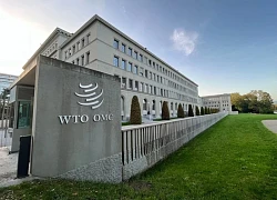 Mỹ có thể đã rút WTO khỏi danh sách cắt giảm viện trợ