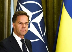 Nga, NATO đối lập về kế hoạch đưa quân tới Ukraine