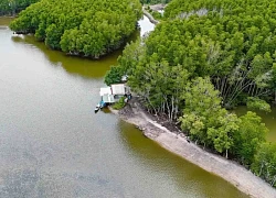 Thư giãn giữa rừng ngập mặn xanh mát ở Phước An, Đồng Nai