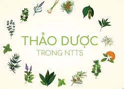 Thử nghiệm phụ gia thảo dược thay thế kháng sinh trong nuôi trồng thủy sản