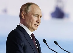 Tổng thống Vladimir Putin: Các công ty phương Tây muốn trở lại Nga