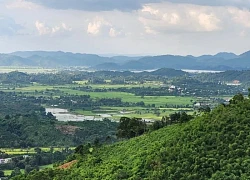 Tuyến du lịch "Hoa - ại ngàn - Biển xanh" thu hút du khách đến Lâm Đồng (mới)