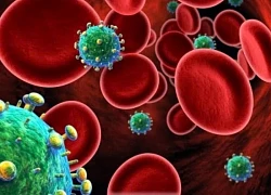 Vai trò của tế bào CD4 trong cơ thể và tác động của HIV
