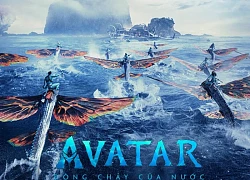 'Avatar: The Way of Water' trở lại rạp chiếu Việt Nam với độc quyền định dạng 3D