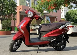 Bảng giá xe Latte mới nhất tháng 9/2025