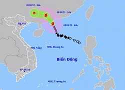 Bão số 7 Tapah đạt cấp cực đại, hoàn lưu có thể gây mưa lớn trên 300mm