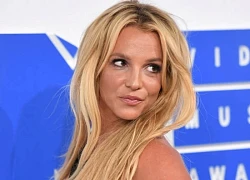 Britney Spears sống trong ngôi nhà ngập rác và chất thải, gia đình cầu cứu