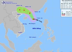 Cảnh báo dông lốc, gió giật mạnh do bão số 7