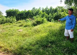 Đà Nẵng: Thanh tra kết luận gì về đơn tố cáo nguyên chủ tịch xã?