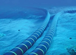 Đứt cáp quang ở Biển Đỏ gây gián đoạn Internet tại châu Á và Trung Đông