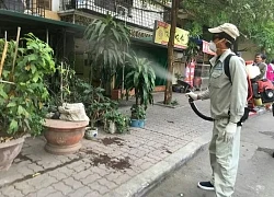 Hà Nội cảnh báo sốt xuất huyết bùng phát, nhiều ổ dịch nguy cơ cao