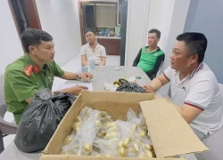 Lừa đổi cổ vật giả lấy chiếc nhẫn trị giá 5.000 USD