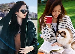 Mỹ nhân bị thời gian "chối bỏ", giàu khủng nhưng sống độc thân trong biệt thự cao cấp 16.700m, tìm khắp Trung Quốc cũng hiếm thấy ai như vậy