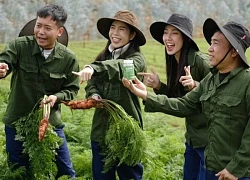 Phát ngôn về đĩa rau luộc và hành vi phạm tội của Quang Linh Vlog