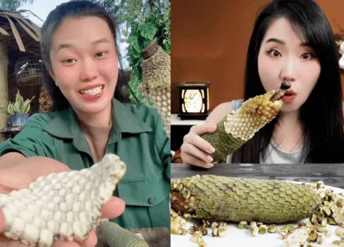 Mukbang quả trầu bà, trào lưu mới gây sốc