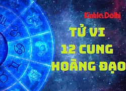 Tử vi ngày 7/9/2025 của 12 cung hoàng đạo: Xử Nữ nên tham vọng trong công việc
