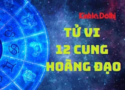 Tử vi ngày 8/9/2025 của 12 cung hoàng đạo: Song Ngư cần linh hoạt đối mặt rắc rối