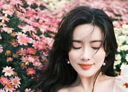Tử vi thứ Hai 8/9/2025 của 12 con giáp: Dần - Tuất phúc khí dồi dào, sự nghiệp thăng tiến vượt bậc, Mão - Thân đối mặt với họa phá tài, tài lộc ảm đạm