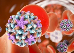 Virus 'sát thủ thầm lặng' gây ung thư gan