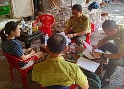 Xử phạt người bán 26 cá thể chim hoang dã trong dịp lễ Vu Lan