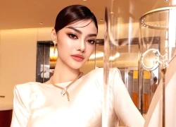 Á hậu gen Z ở ẩn sinh con bất ngờ thông báo trúng tuyển Đại học ngành Y khoa!