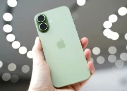 Apple chính thức "khai tử" 4 mẫu iPhone, người dùng có lo lắng?