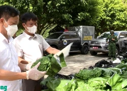 Thủ tướng khen chiến công phá các chuyên án lớn, thu giữ hơn 530kg ma túy