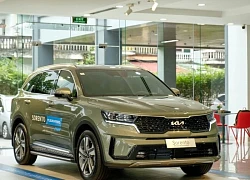Đối thủ của Santa Fe lộ diện trên đường phố, có thể mở bán trong tháng này