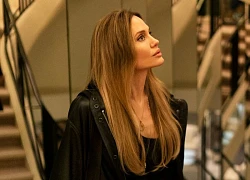Bộ phim "riêng tư" nhất của Angelina Jolie ra mắt khán giả