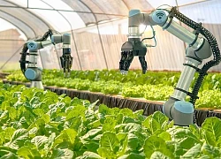 Cần Thơ sẽ có Trung tâm UAV - Robot phục vụ nông nghiệp thông minh