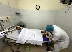 Đi trên cỏ rậm rạp, nam thanh niên bị rắn hổ mang cắn