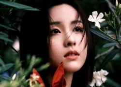 Đúng hôm nay, thứ Năm 11/9/2025, 3 con giáp vận trình hanh thông như 'cá chép hóa rồng', tài lộc bay bổng, công danh phất cao không ai bì kịp