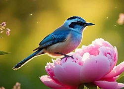 Đúng ngày mai, thứ Năm 11/9/2025, 3 con giáp Quý Nhân nâng đỡ, may mắn hết phần thiên hạ, sự nghiệp Hồng Phát, tiền của khó ai bì kịp