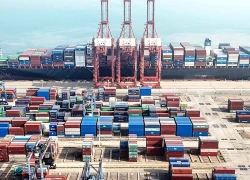 Gần 50% số công ty Mỹ kêu gọi dỡ bỏ thuế quan đối với hàng Trung Quốc