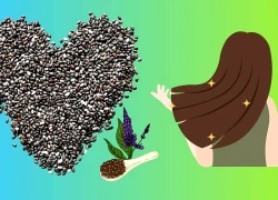 Hướng dẫn 5 cách sử dụng hạt chia nuôi dưỡng da đầu, giúp tóc mượt, mọc nhanh
