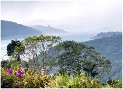 Lâm Đồng kết nối sản phẩm, dịch vụ du lịch Ngàn hoa - Biển xanh - Đại ngàn