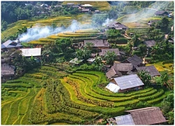 Lúa chín vàng, thơm ngát ở ngôi làng Việt đẹp nhất châu Á