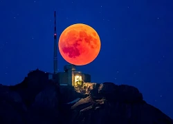 Mãn nhãn ảnh “Trăng máu” được giới trẻ thi nhau săn, tạo cơn sốt MXH