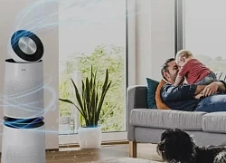 Máy lọc không khí có thể hỗ trợ điều trị huyết áp cao