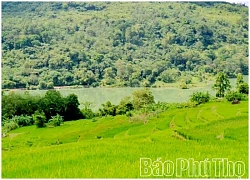 Mê mẩn ruộng bậc thang vùng cao Mường Vang