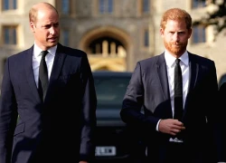 Mục đích chuyến thăm Kiev bất ngờ của Hoàng tử Anh Harry