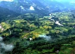 Ngắm ruộng bậc thang vàng óng, đẹp mơ màng giữa đại ngàn Tây Bắc
