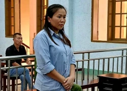 Nữ kế toán trưởng "thụt két" hơn 200 triệu đồng của công ty để tiêu xài