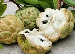 Quả na thơm ngon bổ dưỡng nhưng lại 'đại kỵ' với nhóm người này