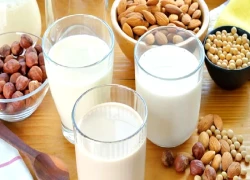 Sữa bò, sữa đậu nành, sữa hạnh nhân: Loại nào tốt cho sức khỏe?