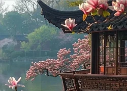 Tháng sinh Âm lịch của người dễ mến, nhờ đó mà nhân duyên vượng, quý nhân luôn kề bên