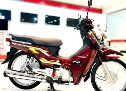 Trình diện ấn bản Honda Dream 2026 NCX 125 với biểu tượng hoa sứ