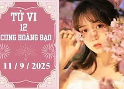 Tử vi 12 cung hoàng đạo ngày 11/9: Bạch Dương thuận lợi, Sư Tử gặp thử thách